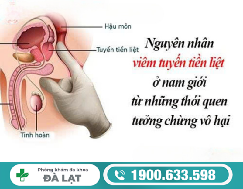 CÁC NGUYÊN NHÂN PHỔ BIẾN DẤN ĐẾN VIÊM TUYẾN TIỀN LIỆT Ở NAM GIỚI