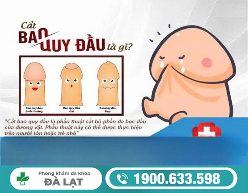 CẮT BAO QUY ĐẦU KHÔNG ĐAU: QUY TRÌNH CHUẨN Y KHOA HIỆN NAY