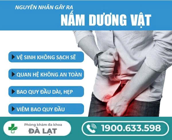 Tìm Hiểu Về: Nấm Candida ở Nam Giới 