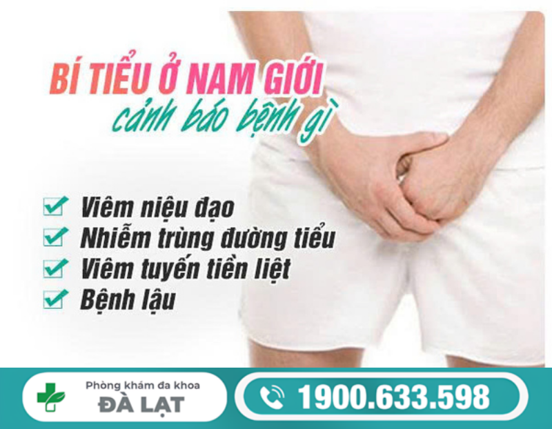 CÁC NGUYÊN NHÂN GÂY BÍ TIỂU Ở NAM GIỚI CẦN ĐƯỢC PHÁT HIỆN SỚM