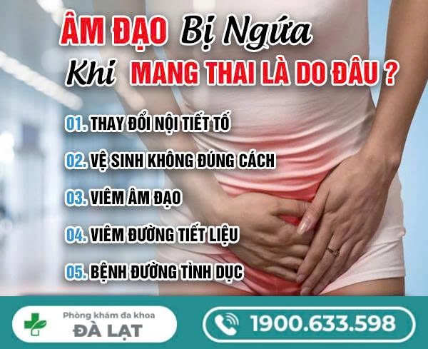 Tìm Hiểu: Âm Đạo Bị Ngứa Khi Mang Thai 