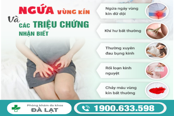 Tìm Hiểu Về Ngứa Âm Đạo Ở Nữ Giới 