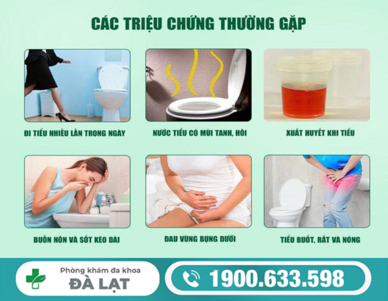 ĐI ĐÁI NHIỀU LẦN Ở NAM GIỚI: ĐỪNG CHỦ QUAN VỚI DẤU HIỆU BẤT THƯỜNG 