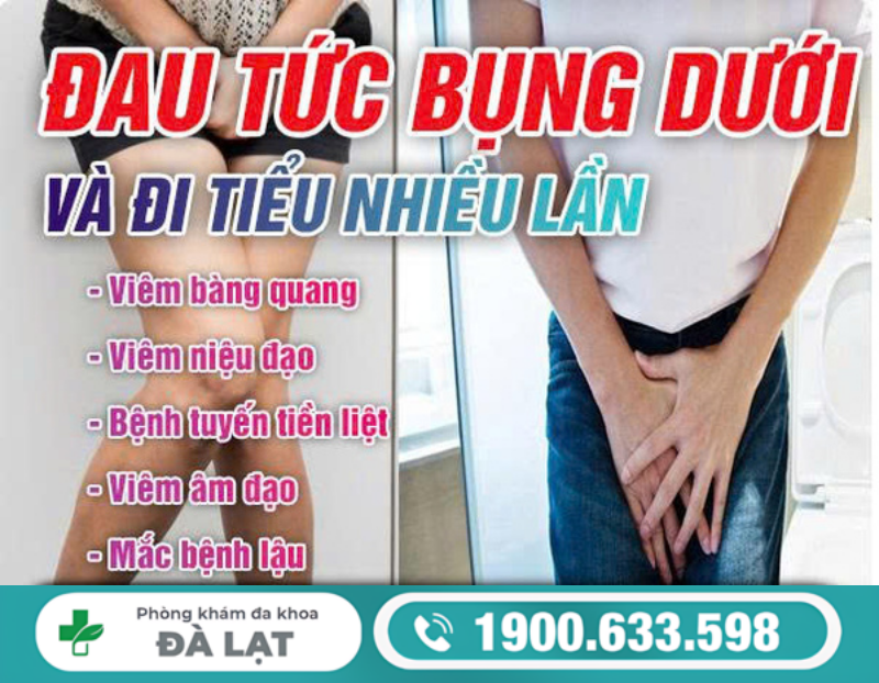 NAM GIỚI ĐAU TỨC BỤNG DƯỚI VÀ ĐI TIỂU NHIỀU: DẤU HIỆU KHÔNG NÊN CHỦ QUAN 
