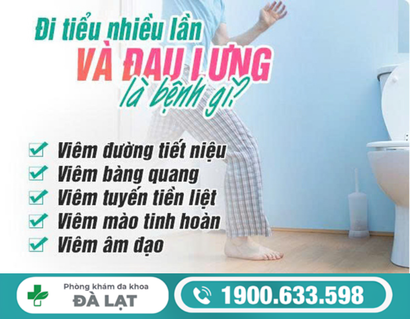 ĐI TIỂU NHIỀU LẦN VÀ ĐAU LƯNG: NHỮNG BỆNH LÝ THƯỜNG GẶP Ở NAM GIỚI
