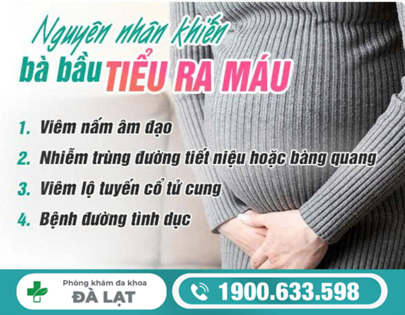 ĐI TIỂU RA MÁU KHI MANG THAI: DẤU HIỆU NGUY HIỂM MẸ BẦU CẦN BIẾT 