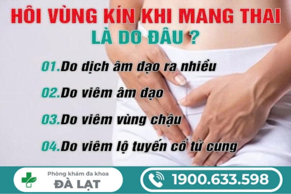 Tìm Hiểu: Hôi Vùng Kín Khi Mang Thai 