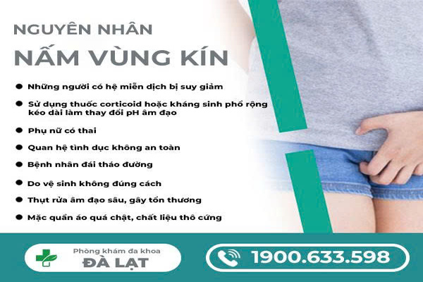 Nguyên Nhân Gây Nấm Vùng Kín 