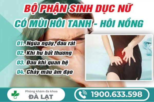 Bệnh Ở Bộ Phận Sinh Dục Nữ Có Mùi Hôi 