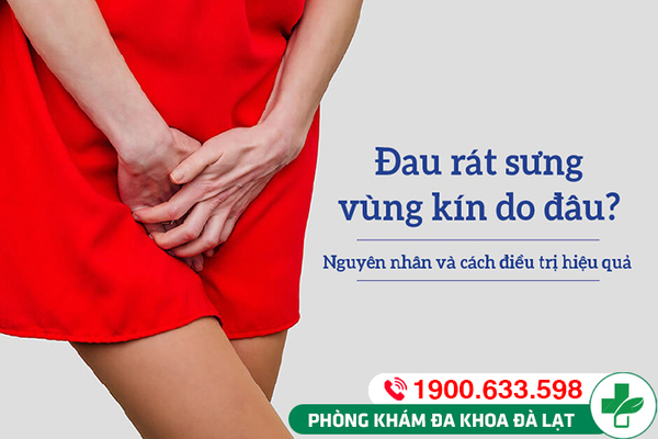 Nguyên Nhân Phổ Biến Gây Đau Vùng Kín 