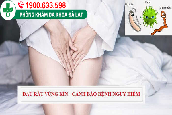 Tìm Hiểu Về: Đau Vùng Kín Ở Nữ Giới 
