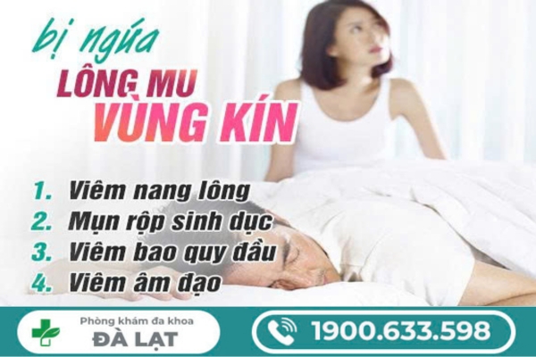 Hiện Tượng Bị Ngứa Lông Mu Ở Vùng Kín 