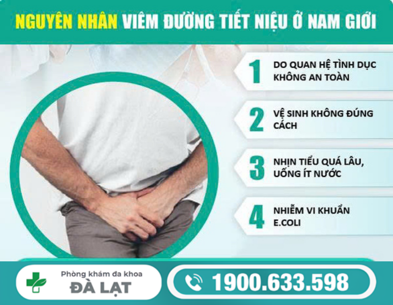 NAM GIỚI BỊ VIÊM ĐƯỜNG TIỂU: BIỂU HIỆN VÀ MỨC ĐỘ ẢNH HƯỞNG