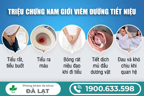 NHẬN BIẾT SỚM CÁC BIỂU HIỆN CỦA VIÊM ĐƯỜNG TIẾT NIỆU Ở NAM GIỚI 