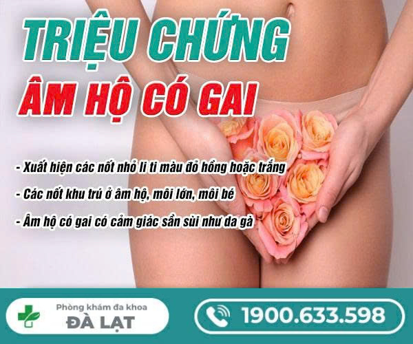 Tìm Hiểu Về: Âm Hộ Có Gai 