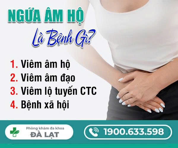 Ngứa Âm Hộ Là Gì? Cách Chữa Ngứa Âm Hộ 