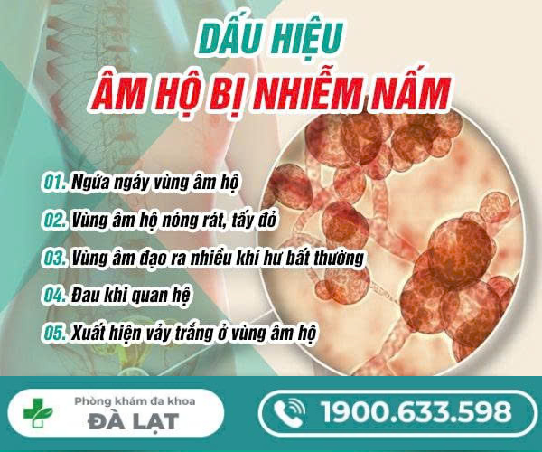 Âm Hộ Bị Nhiễm Nấm Nguyên Nhân, Dấu Hiệu Và Cách Điều Trị 