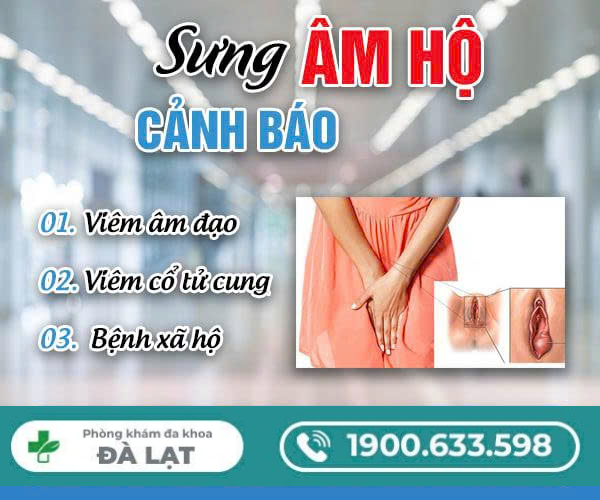 Sưng Âm Hộ: Nguyên Nhân và Cách Điều Trị 
