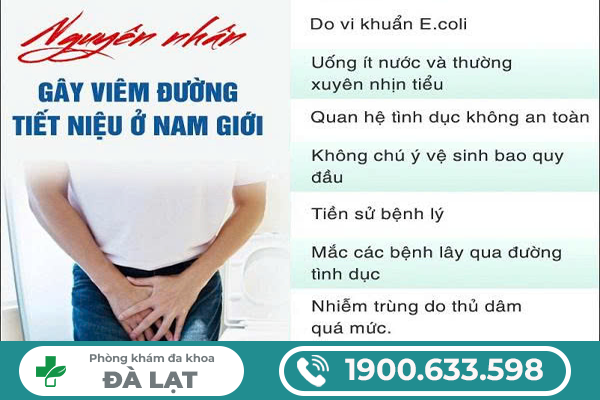 CÁC NGUYÊN NHÂN THƯỜNG GẶP GÂY VIÊM ĐƯỜNG TIẾT NIỆU Ở NAM GIỚI 