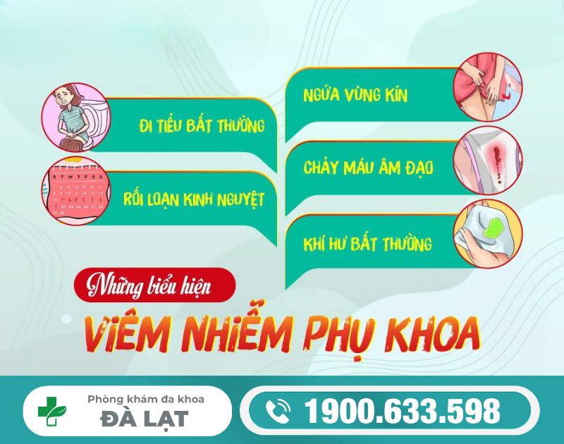 Hình Ảnh, Biểu Hiện Của Viêm Nhiễm Vùng Kín 