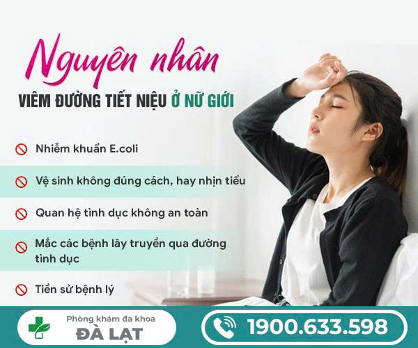 NGUYÊN NHÂN VIÊM ĐƯỜNG TIẾT NIỆU Ở NỮ GIỚI: NHẬN BIẾT ĐỂ PHÒNG TRÁNH