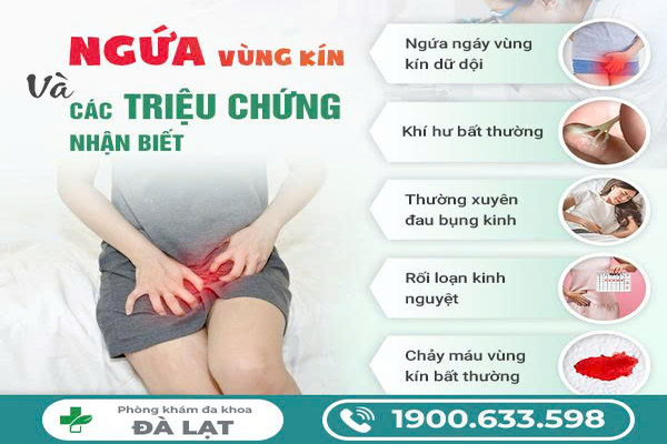 Ngứa Vùng Kín: Nguyên Nhân, Biến Chứng và Phương Pháp Điều Trị 