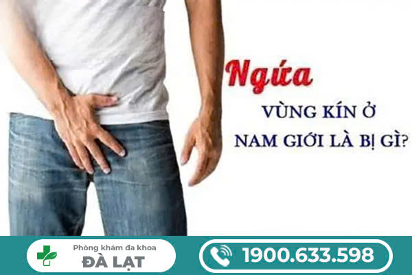 Tìm Hiểu Về Ngứa Vùng Kín Ở Nam Giới 