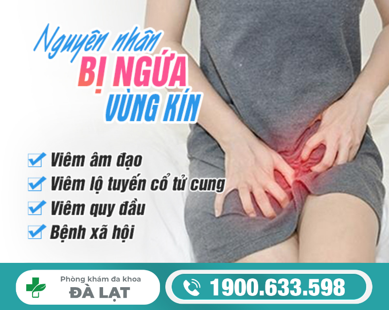 Nguyên Nhân Gây Ngứa Vùng Kín ở Nữ Giới 