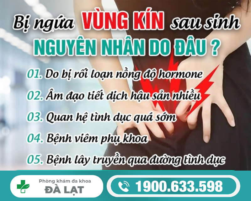 Bị Ngứa Vùng Kín Sau Sinh Do Đâu? 