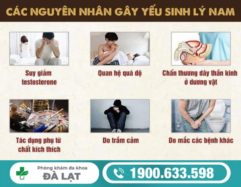 TÌM HIỂU NGUYÊN NHÂN DẪN ĐẾN YẾU SINH LÝ Ở NAM GIỚI HIỆN NAY 