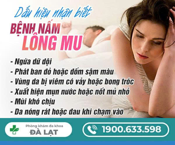 Tìm Hiểu: Nấm Lông Mu Vùng Kín 