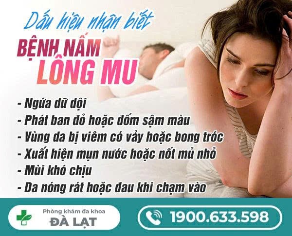 Tìm Hiểu: Nấm Lông Mu Vùng Kín 