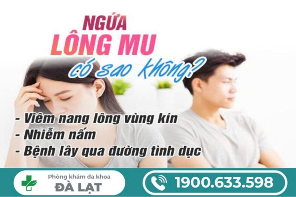 Bị Ngứa Lông Mu Có Sao Không? 
