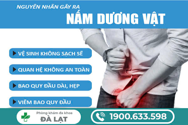 CÁC NGUYÊN NHÂN GÂY NẤM BAO QUY ĐẦU MÀ NAM GIỚI THƯỜNG BỎ QUA