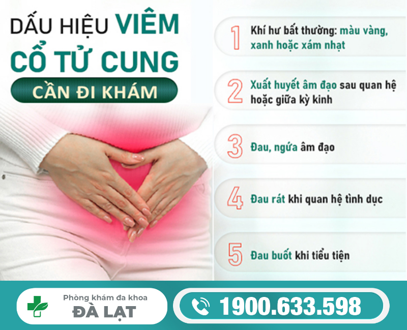 Dấu Hiệu, Biểu Hiện Của Bệnh Viêm Cổ Tử Cung 