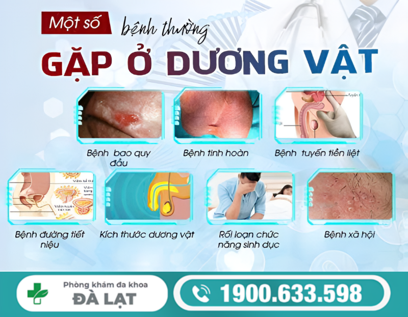 HIỆN TƯỢNG ĐẦU KHẤC NGỨA, KHÔ, ĐAU RÁT KÈM MÙI HÔI: DẤU HIỆU CẢNH BÁO BỆNH LÝ NAM GIỚI 