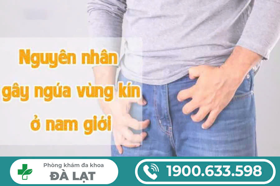 NGUYÊN NHÂN PHỔ BIẾN GÂY NGỨA DƯƠNG VẬT Ở NAM GIỚI 