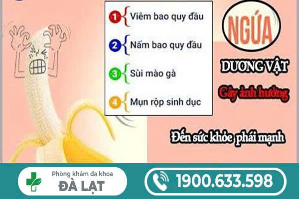 NGỨA DƯƠNG VẬT CÓ SAO KHÔNG? NHỮNG ĐIỀU NAM GIỚI CẦN BIẾT