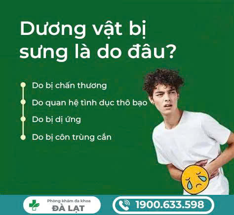 DƯƠNG VẬT BỊ SƯNG SAU QUAN HỆ NAM GIỚI KHÔNG NÊN CHỦ QUAN 