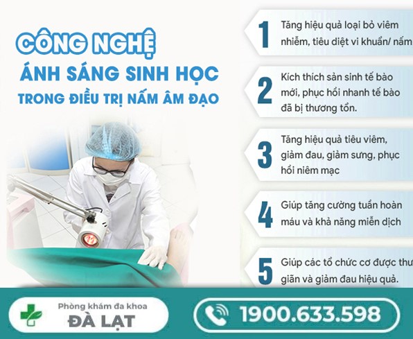 Cách Chữa Nấm Vùng Kín Hiệu Quả, An Toàn 