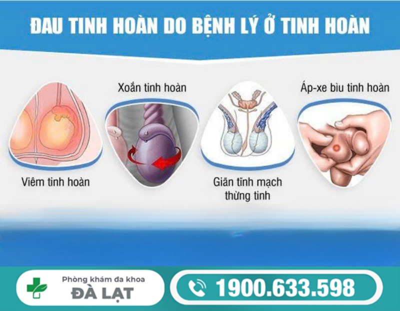 ĐAU TINH HOÀN Ở NAM GIỚI: NGUYÊN NHÂN VÀ CÁCH ĐIỀU TRỊ HIỆU QUẢ