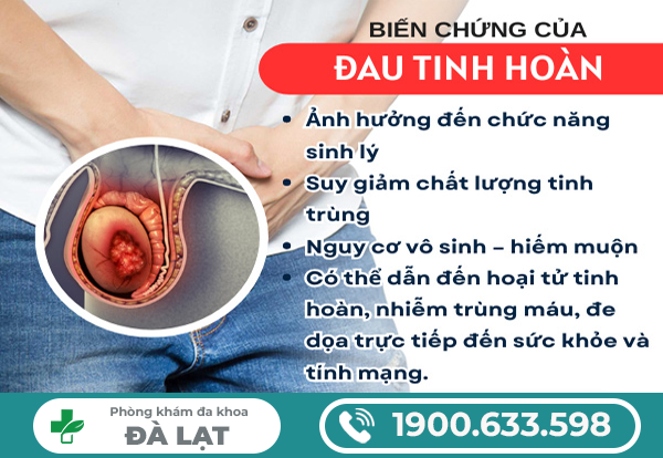 ĐAU TINH HOÀN CÓ NGUY HIỂM KHÔNG? NHỮNG ĐIỀU NAM GIỚI NÊN BIẾT 