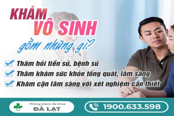 Quy Trình Thăm Khám và Điều Trị Vô Sinh Ở Nữ Giới 