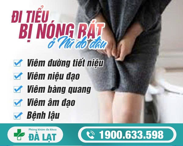 Hiện Tượng: Đi Tiểu Bị Nóng Rát Ở Nữ Giới 