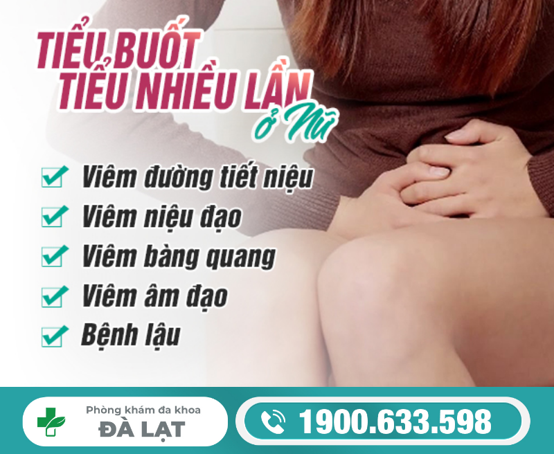 Hiện Tượng: Tiểu Buốt Tiểu Nhiều Lần Ở Nữ Giới 