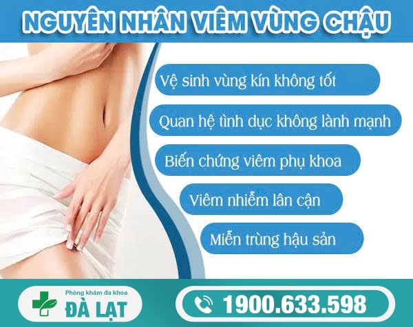 Nguyên Nhân Gây Viêm Vùng Chậu Chị Em Cần Biết 