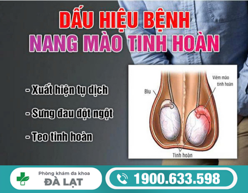 NANG TINH HOÀN CÓ NGUY HIỂM KHÔNG? NHỮNG ĐIỀU NAM GIỚI NÊN BIẾT
