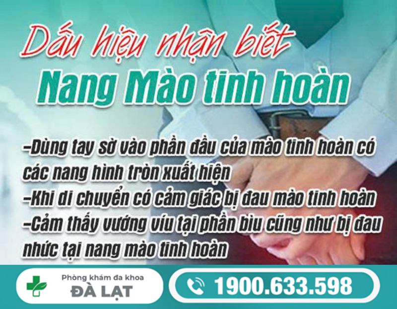 DẤU HIỆU NHẬN BIẾT NANG MÀO TINH HOÀN Ở NAM GIỚI 