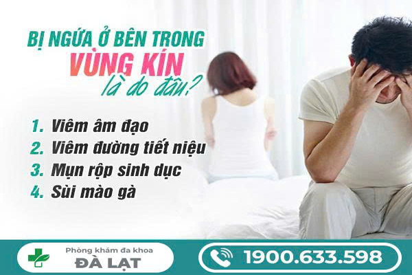 Hiện Tượng: Bị Ngứa Bên Trong Vùng Kín 