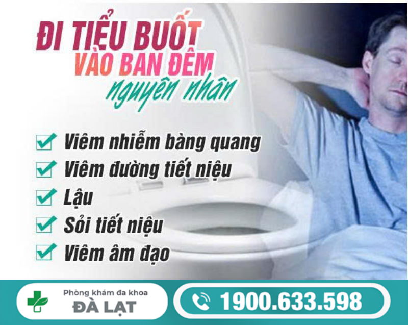 ĐI TIỂU BUỐT VÀO BAN ĐÊM: NHỮNG BỆNH LÝ NGUY CƠ CAO Ở NAM VÀ NỮ 